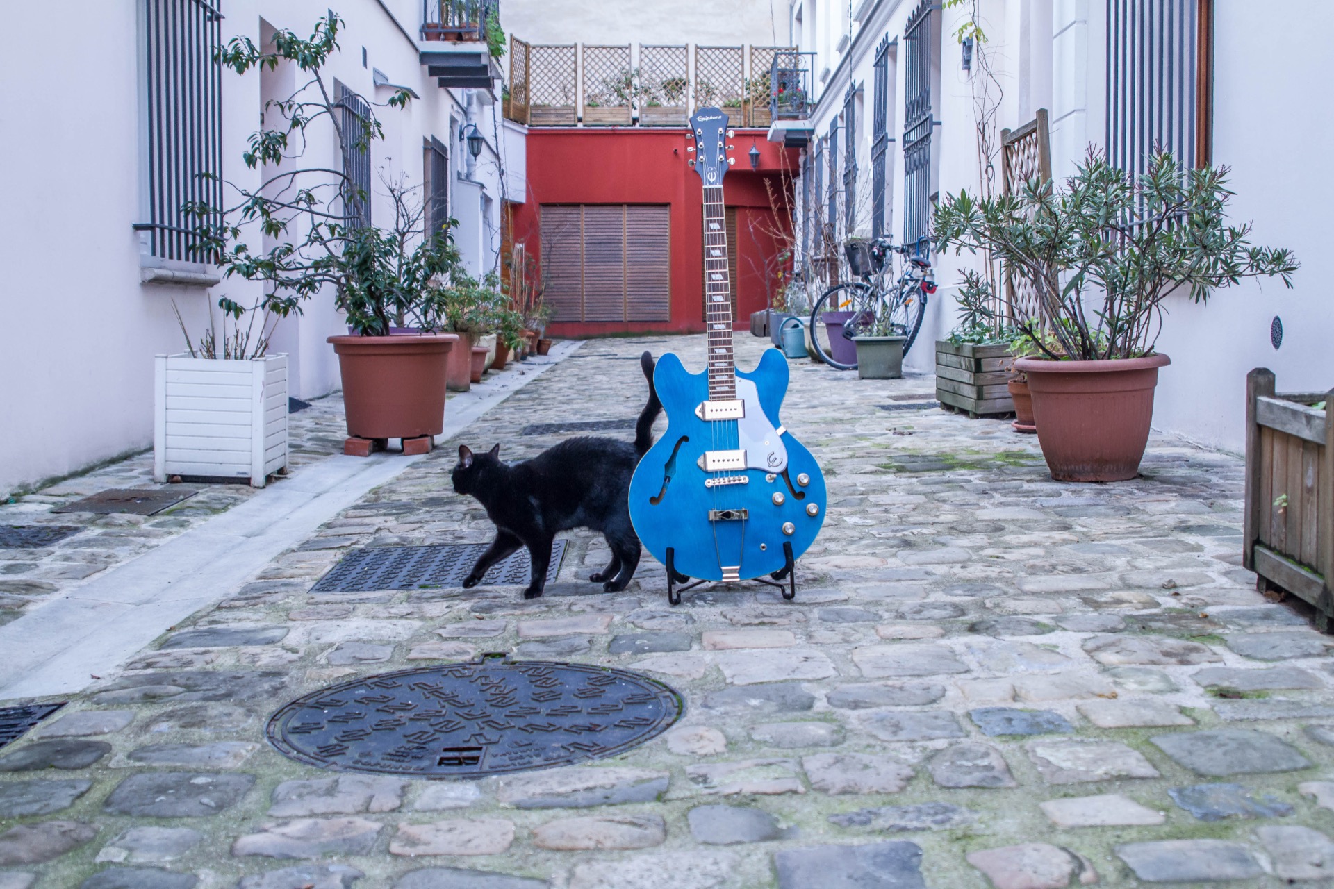 Epiphone Casino [2020-Current] : CasinoWorn-23