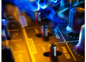 MiniBrute detail-switches