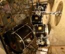 Sonor Force Maple