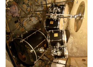 Sonor FORCE MAPLE (52069)