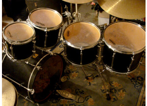 Sonor FORCE MAPLE (81459)