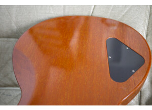 Gibson Les Paul Standard Double Cut Plus (33163)