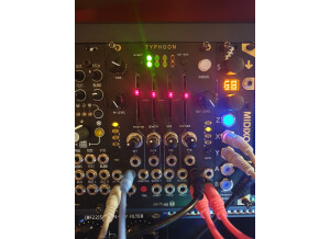 Mutable Instruments Clouds (1299)