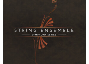Native Instruments String Ensemble
