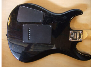 Washburn G-JRV (97206)