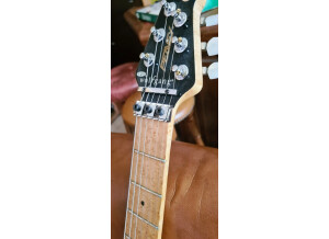 Peavey Wolfgang Standard (54227)