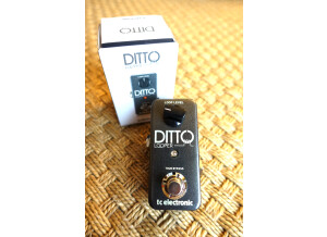 TC Electronic Ditto Looper (57801)