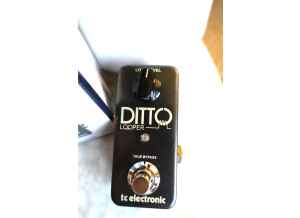 TC Electronic Ditto Looper (83087)