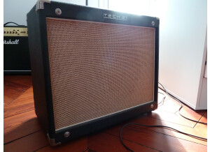 Tech 21 Trademark 60 1x12 (42517)