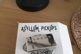 Asyllum Pickups Black Dog