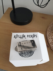 Asyllum Pickups Black Dog