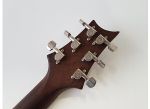 PRS 513 Maple Top (30301)