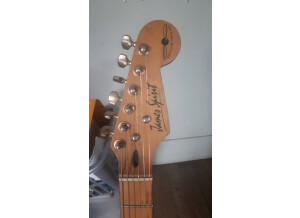 James Spirit Stratocaster