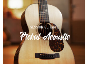 Native Instruments Session Guitarist - Picked Acoustic