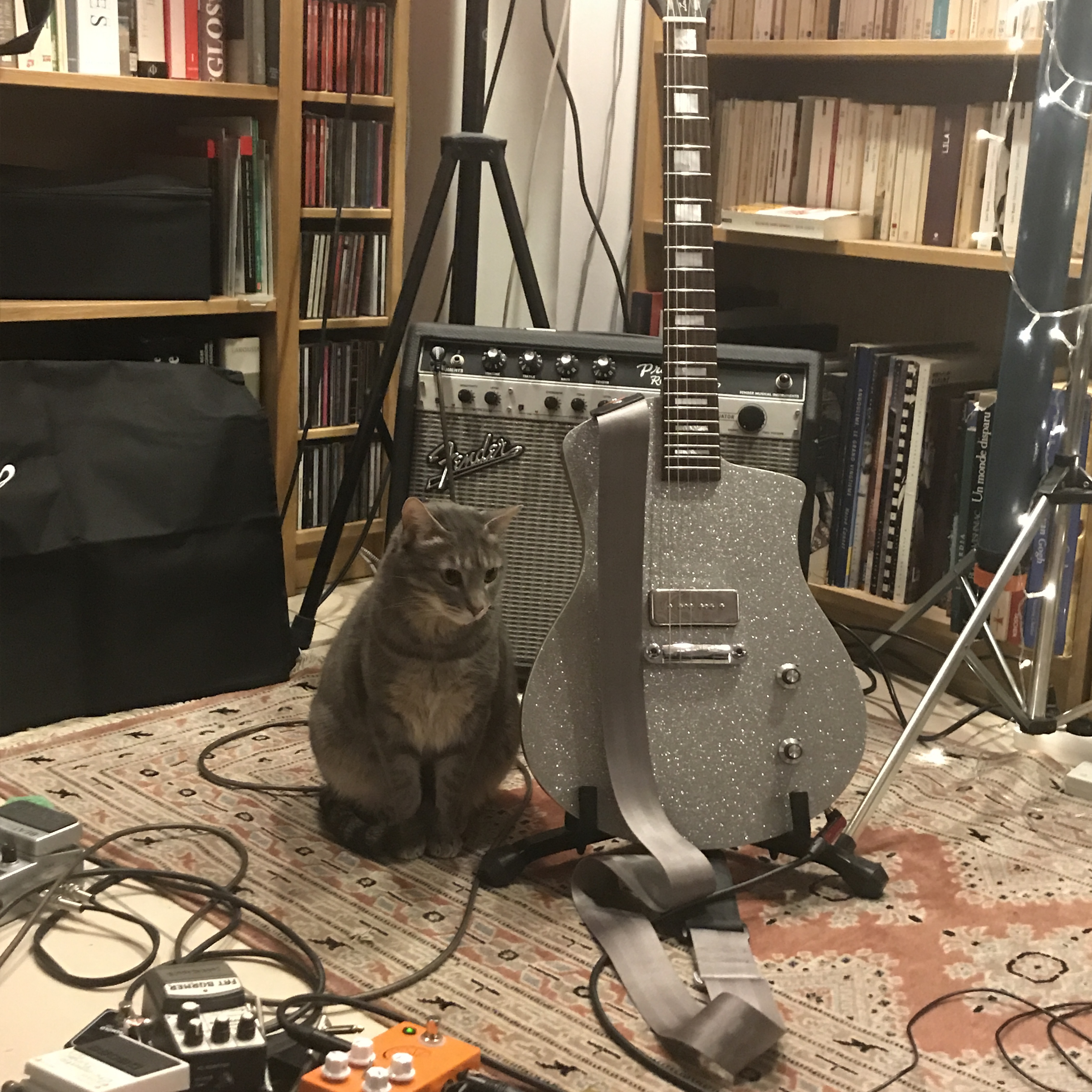 Girault Guitars Louisiane