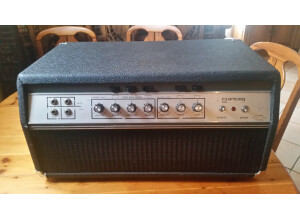 Ampeg SVT (94917)