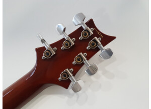 PRS 513 Maple Top (83353)