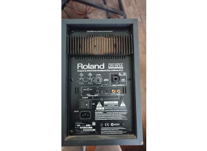 Roland DS-50A
