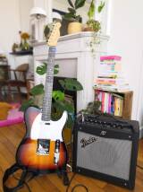 Harley Benton TE-20