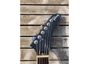 Fender Jim Root Telecaster (79301)