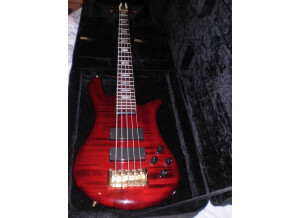 Spector Euro 5 LX (99504)