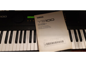 Yamaha YS -100 (91325)