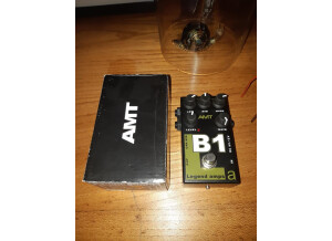 Amt Electronics B1 Bogner