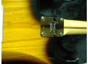 Fender [Artist Signature Series] Buddy Guy Stratocaster - 2-Color Sunburst