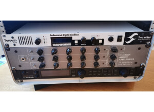 Custom Audio Electronics 3+