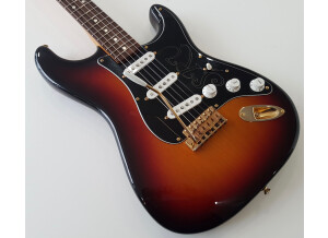 Fender Stevie Ray Vaughan Stratocaster (8534)