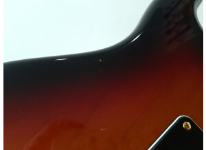 Fender Stevie Ray Vaughan Stratocaster (14951)