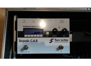 Two Notes Audio Engineering Torpedo C.A.B. (Cabinets in A Box) (59328)