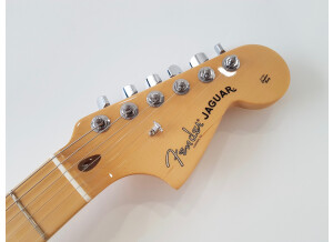 Fender American Professional Jaguar (95898)