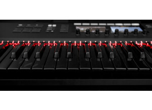 Native Instruments Komplete Kontrol S49 mk2 (39772)