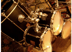 Sonor FORCE MAPLE (54240)