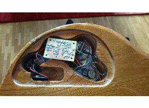 Azumi Guitars Nicolas Sarkozy Signature (15746)