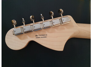 Fender American Performer Stratocaster HSS (47814)