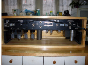 Ampeg V-4 (28032)