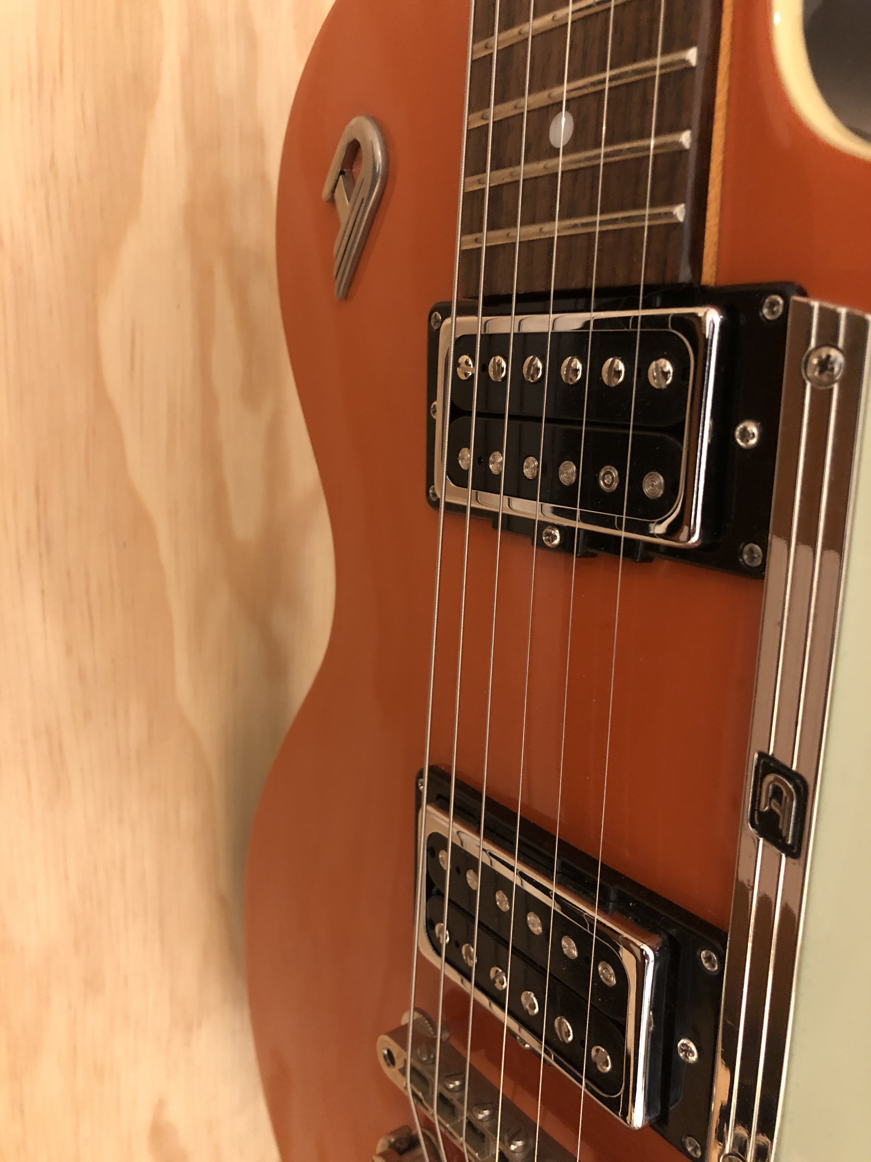 Asyllum Pickups Black Dog