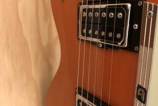 Asyllum Pickups Black Dog