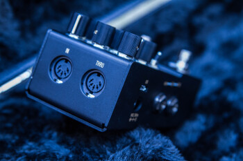 WalrusR1-13 WalrusR1-13