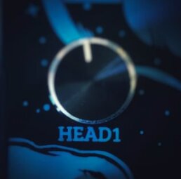 head1 head1