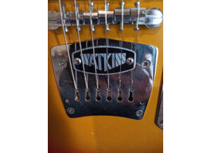 watkins-guitar-60-3307517@2x