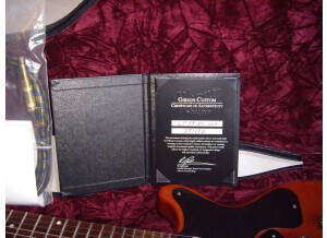 Gibson Les Paul junior DC (72063)