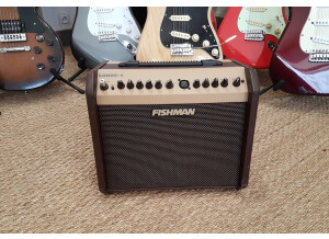 Fishman Loudbox Mini (9621)