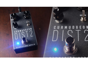 Damnation Audio Curmudgeon 2 Bass Amp Distortion