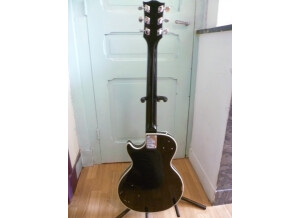 Ryan Guitars Les Paul (86643)