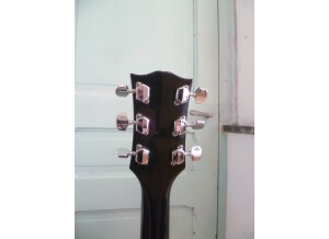 Ryan Guitars Les Paul (9237)