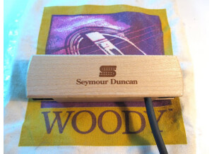 Seymour Duncan Woody