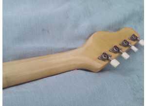 Jolana Iris Bass (18319)